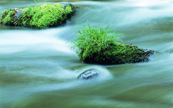 壬水怕的是什麽
