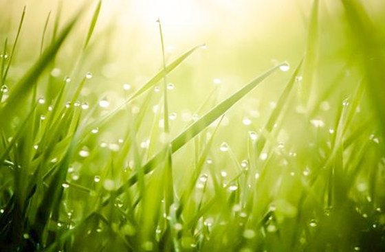 癸水命不是普通人