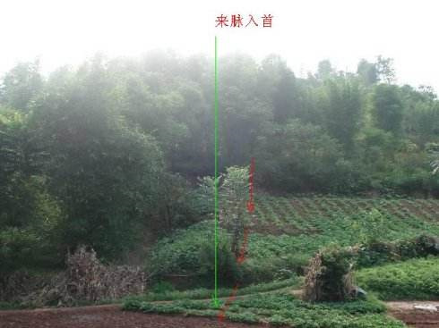 八字看祖坟阴阳宅