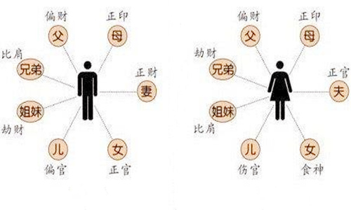 八字中的十神含义