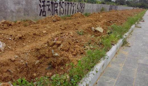 十二地支未土详解 十二地支未土详解