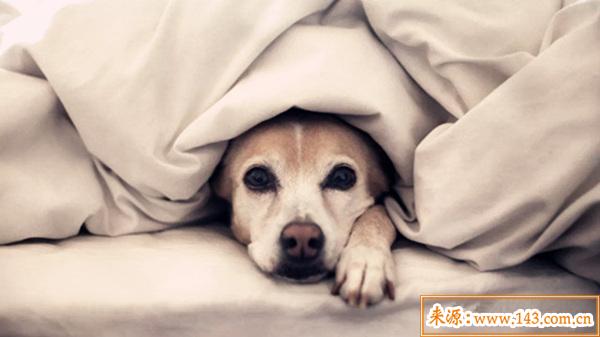 什麽样的八字胆子小