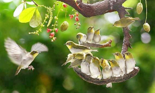 八字特殊格局的看法