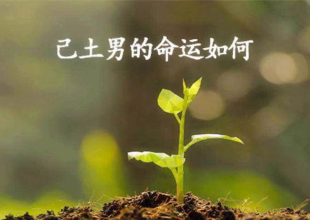 己土男的命运如何
