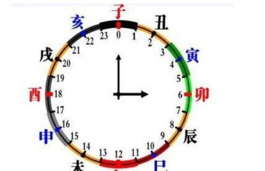 十二地支子