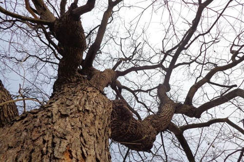 饿木命忌什麽颜色
