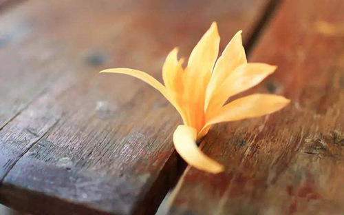 八字天干作用关系解梦佬详解 八字天干作用关系解梦佬详解