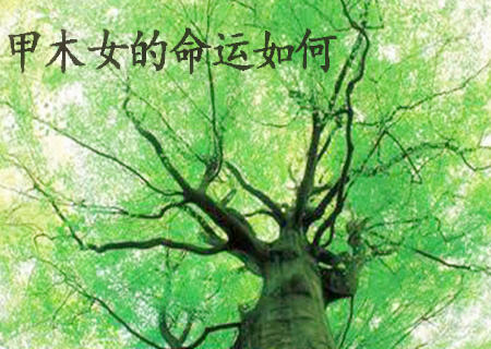 甲木女的命运如何