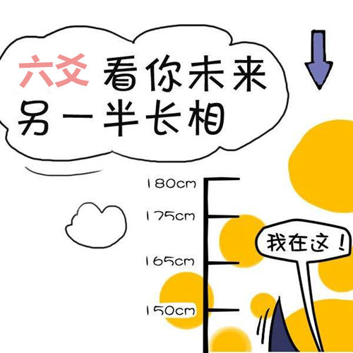 六爻测长相 六爻测长相