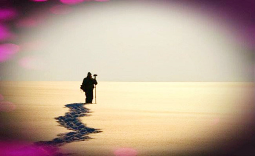 八字土旺缺木的男人性格 八字土旺缺木的男人性格