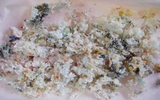 元辰是什麽意思