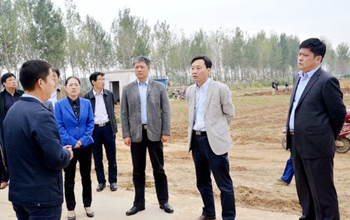 八字断学历、身高、相貌、职业