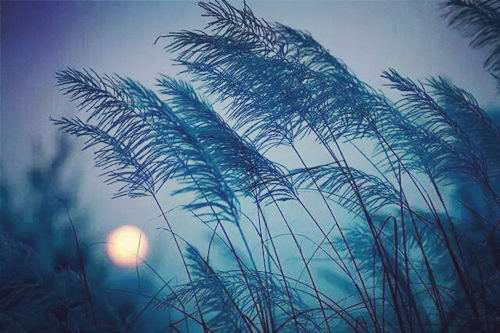 教你生辰八字论命的步骤 教你生辰八字论命的步骤