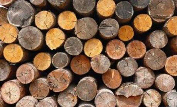 五行木详解 五行木详解