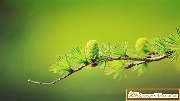 八字五行缺木怎麽补
