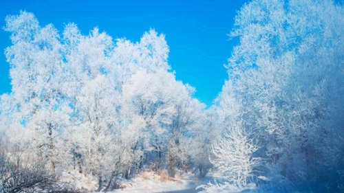 庚日干生于子月 庚日干生于子月