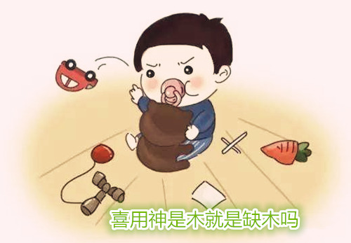 喜用神是木就是缺木吗