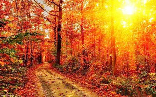 八字日主旺的性格 八字日主旺的性格