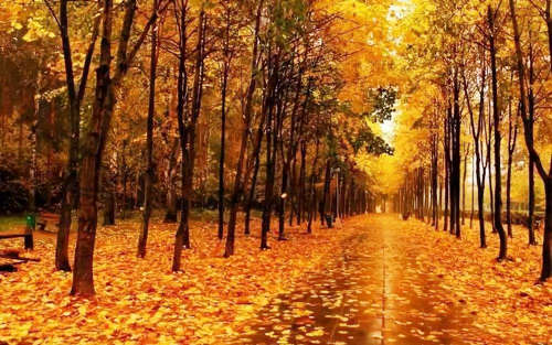 八字格局喜神是火是什麽意思