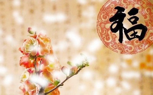 身强八字格局