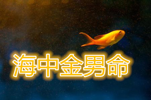 海中金命的男人好不好
