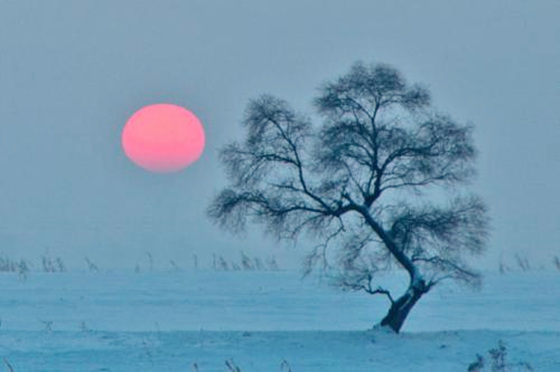十二地支相害口诀