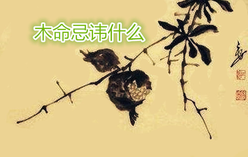喜用神为木忌讳什麽