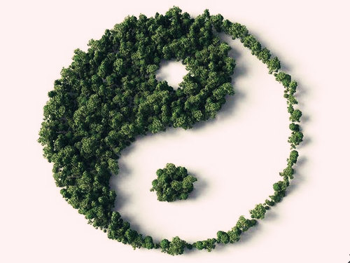 命理解析八字偏印 命理解析八字偏印