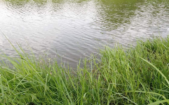 壬水命跟什麽配