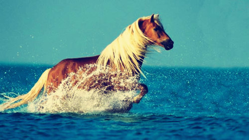 解析八字神煞驿马 解析八字神煞驿马