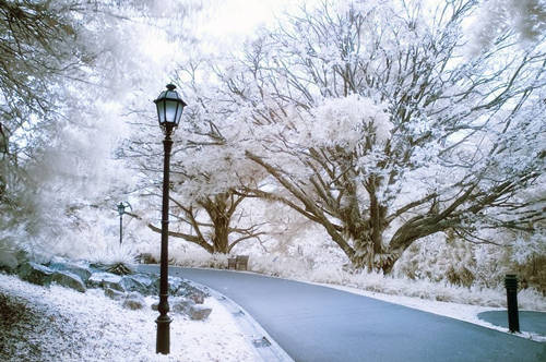 庚日干生于子月 庚日干生于子月