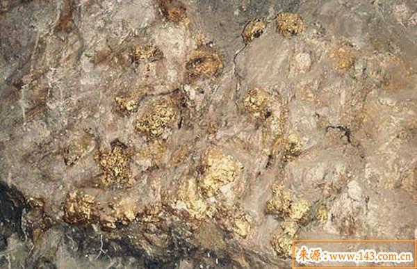 海中金命缺什麽