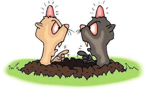 六爻看相貌 六爻看相貌