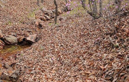 八字土旺者的性格