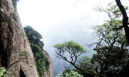 八字口诀精华 八字口诀精华