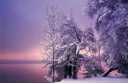 庚日干生于子月 庚日干生于子月