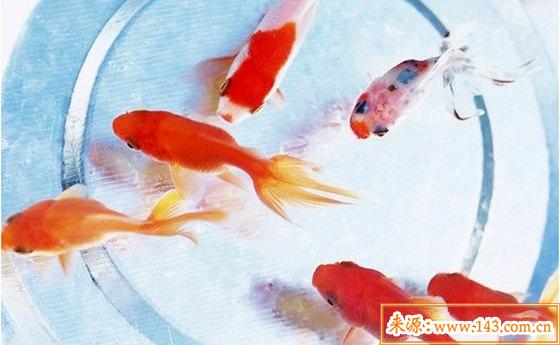 八字五行火旺缺水的人怎麽办