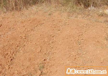 土命的女人命运好不好 土命的女人命运好不好