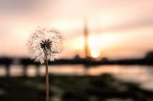 性格善良的八字