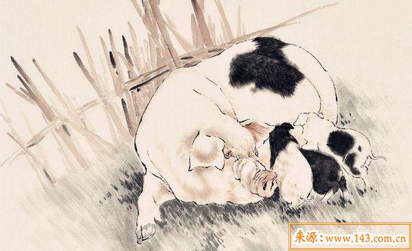 1971年出生的人是什麽命