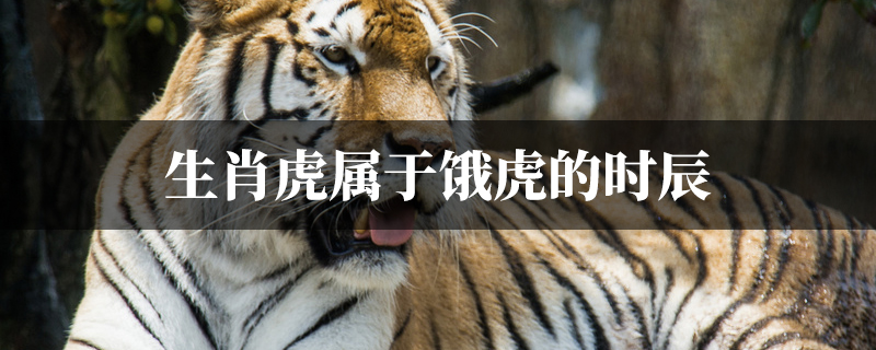 生肖虎属于饿虎的时辰