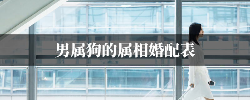 男属狗的属相婚配表