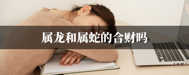 属龙和属蛇的合财吗