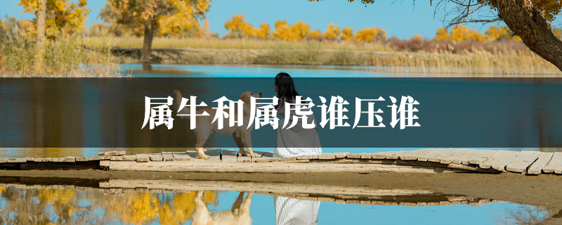 属牛和属虎谁压谁