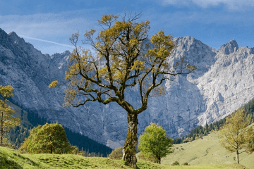 2021年牛女宝宝名字寓意好