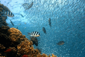 鼠年出生的女孩名字寓意好的