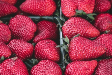 金鼠年女孩名字首选