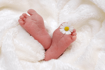 儒雅大气的女孩名字属鼠