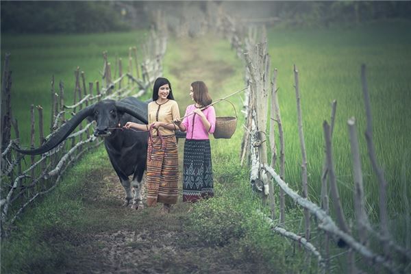 属鸡男想睡的女人 属鸡男想睡的女人