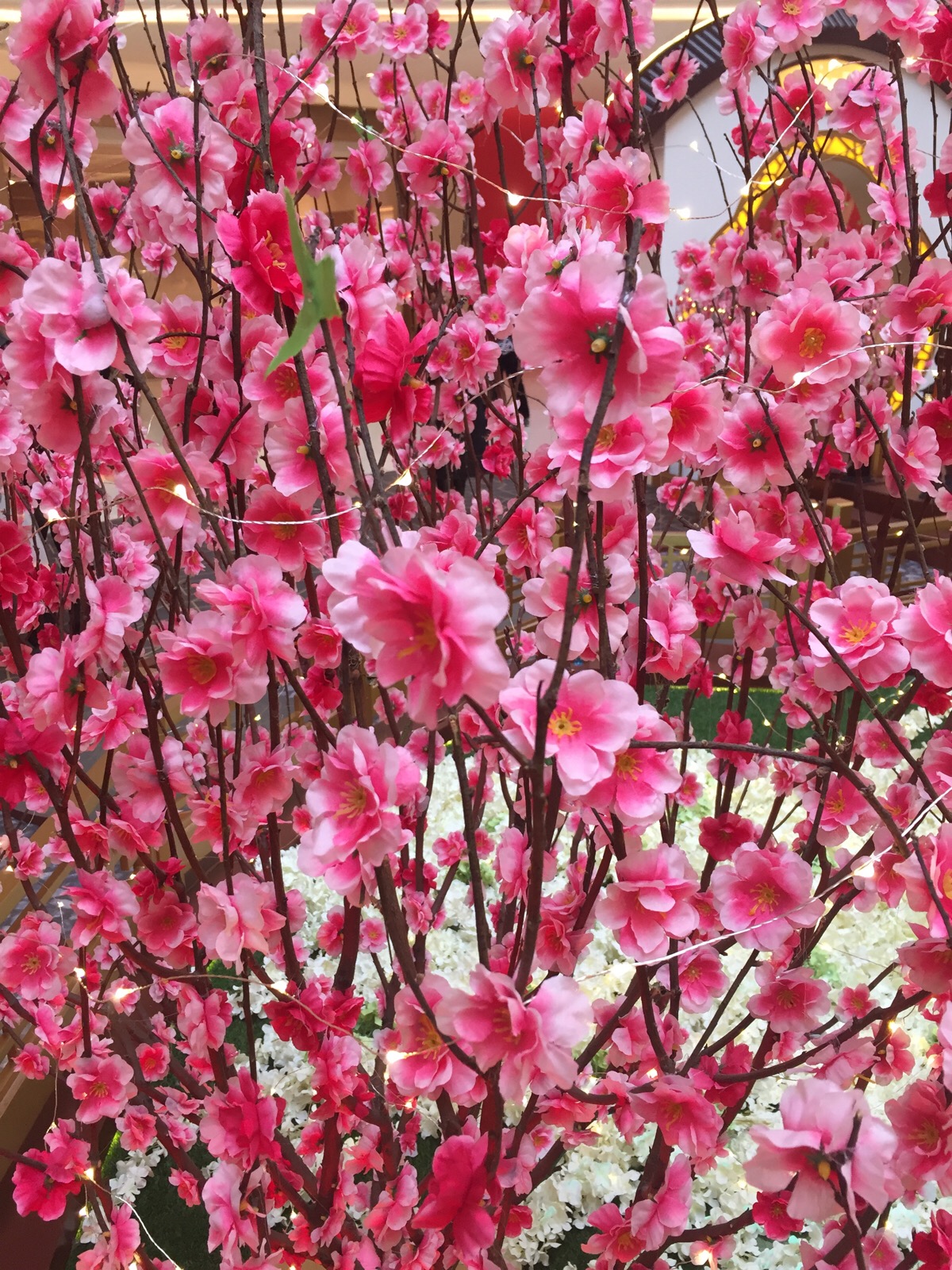 12月份桃花运势大爆发